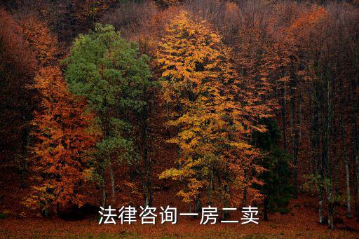 新民法典關(guān)于一房二賣，一房二賣 合同效力 和物權(quán)法物權(quán)法很多 主要從哪幾條分析