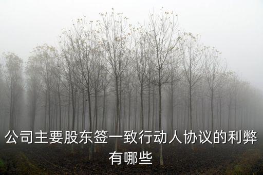 公司主要股東簽一致行動(dòng)人協(xié)議的利弊有哪些