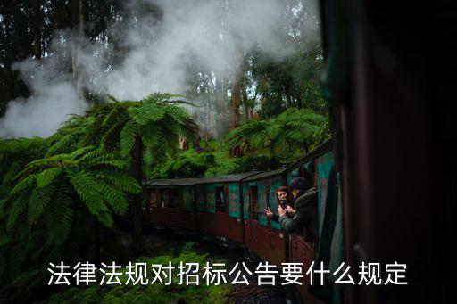 法律法規(guī)對招標公告要什么規(guī)定