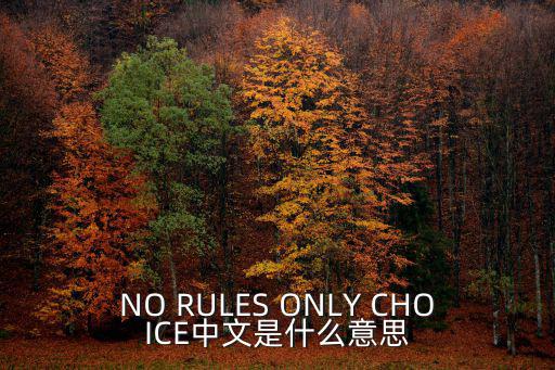 法律條約的英語，維也納公約蒙特利爾協(xié)定書的英文說法急求