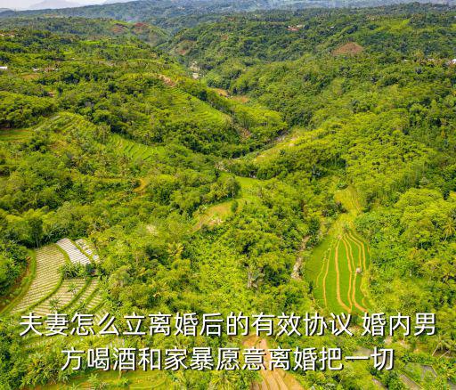 夫妻怎么立離婚后的有效協(xié)議 婚內(nèi)男方喝酒和家暴愿意離婚把一切
