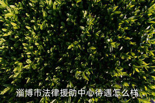 法律援助中心待遇好嗎，河南省司法廳和省法律援助中心哪個待遇好