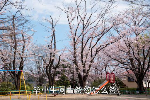 網(wǎng)上簽合同怎么簽字，關于在網(wǎng)上談合同怎么簽的在什么地方簽
