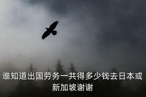 誰知道出國勞務(wù)一共得多少錢去日本或新加坡謝謝