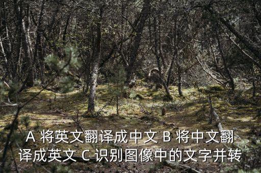 政治文本翻譯的特點，文學翻譯的特點有哪些