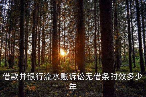 借款并銀行流水賬訴訟無借條時(shí)效多少年
