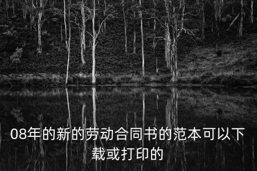 衛(wèi)生院勞動合同模板電子版，08年的新的勞動合同書的范本可以下載或打印的