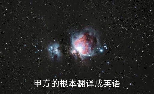 甲方的英語，甲方的根本翻譯成英語