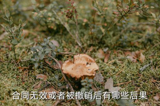 合同無效或者被撤銷后有哪些后果