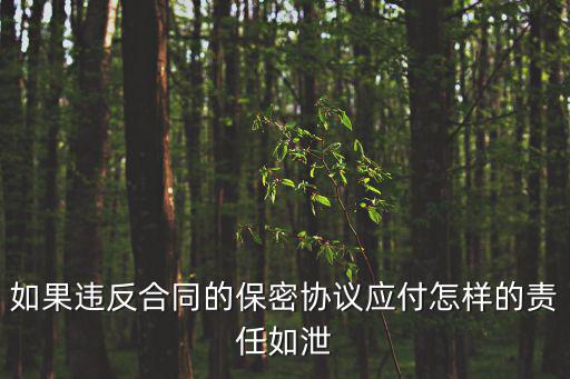 如果違反合同的保密協(xié)議應(yīng)付怎樣的責(zé)任如泄