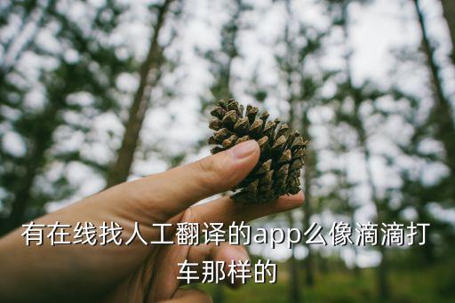 有沒(méi)有真正的人工翻譯的平臺(tái)，現(xiàn)在正在準(zhǔn)備一篇論文需要翻譯好頭疼啊有沒(méi)有人工翻譯的網(wǎng)