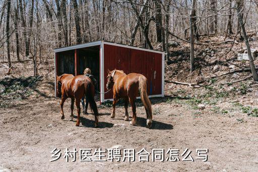 鄉(xiāng)村醫(yī)生聘用合同怎么寫