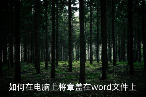 如何在電腦上將章蓋在word文件上