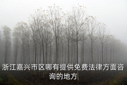 浙江嘉興市區(qū)哪有提供免費法律方面咨詢的地方