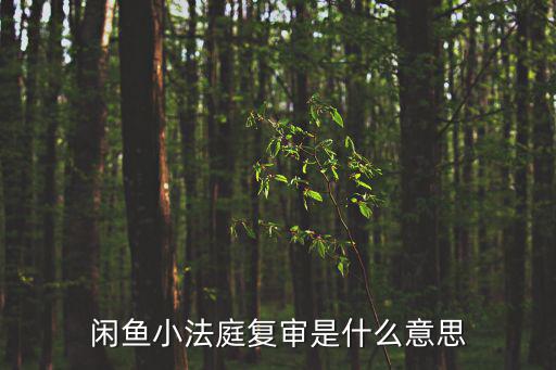 商事法庭是什么意思，軍事法庭是什么意思