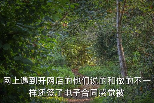 網(wǎng)上遇到開網(wǎng)店的他們說的和做的不一樣還簽了電子合同感覺被