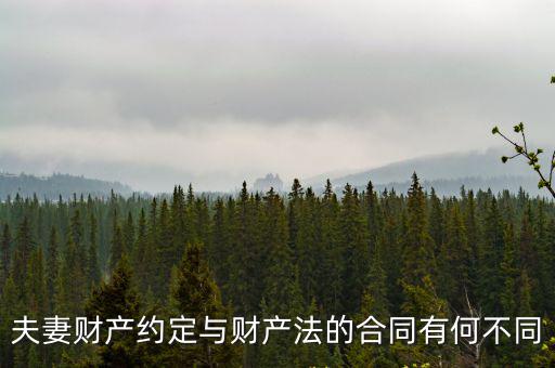 夫妻財產(chǎn)約定與財產(chǎn)法的合同有何不同