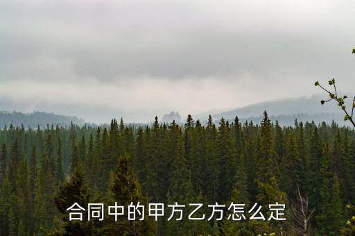 合同中的甲方乙方怎么定