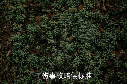 勞動法工傷賠償2020我工傷，工傷事故賠償標準