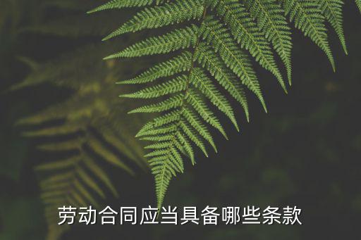 勞動合同應(yīng)當(dāng)具備哪些條款