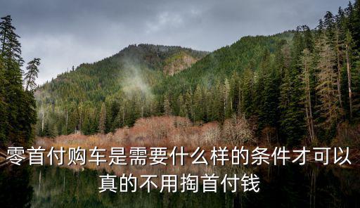 零首付購車是需要什么樣的條件才可以真的不用掏首付錢