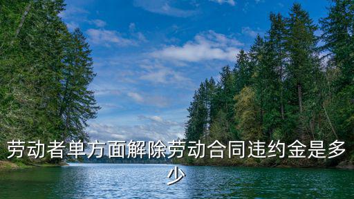 單方面違約終止合同違約金，購(gòu)房單方終止合同會(huì)有違約金呢