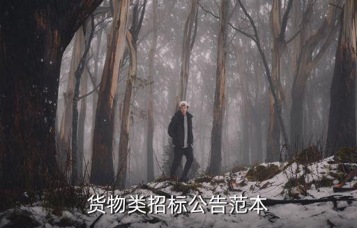 招標公告完整版范文，管道招標公告范文