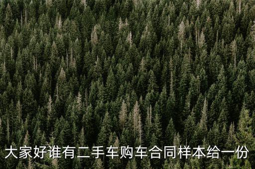 大家好誰(shuí)有二手車(chē)購(gòu)車(chē)合同樣本給一份
