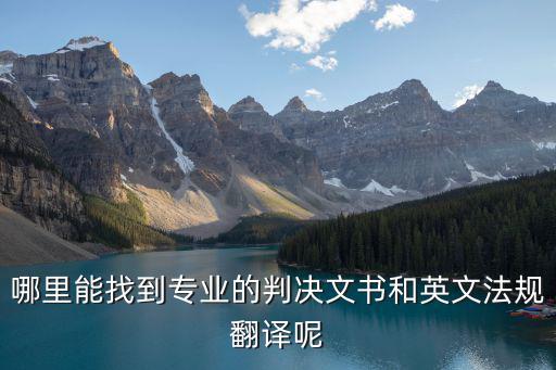 哪里能找到專業(yè)的判決文書和英文法規(guī)翻譯呢