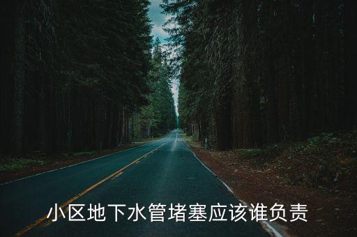 小區(qū)地下水管堵塞應(yīng)該誰(shuí)負(fù)責(zé)