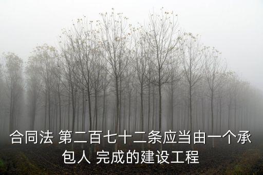 合同法 第二百七十二條應(yīng)當(dāng)由一個(gè)承包人 完成的建設(shè)工程