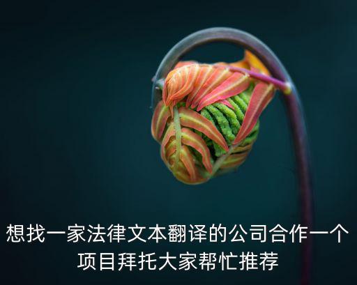 法律文本與法律翻譯，想找一家法律文本翻譯的公司合作一個項目拜托大家?guī)兔ν扑]