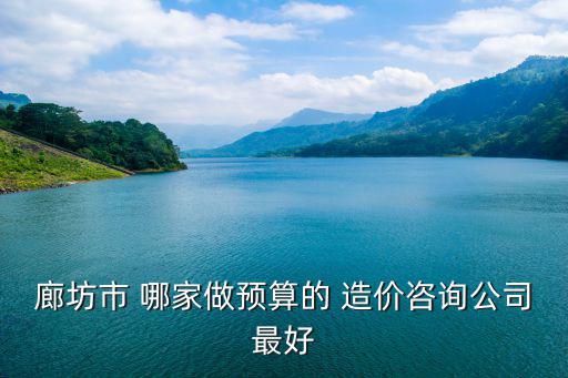 廊坊市 哪家做預(yù)算的 造價(jià)咨詢公司最好