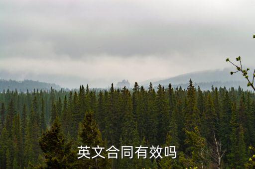 英文合同有效嗎