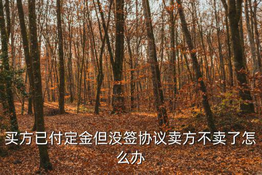 買方已付定金但沒簽協議賣方不賣了怎么辦