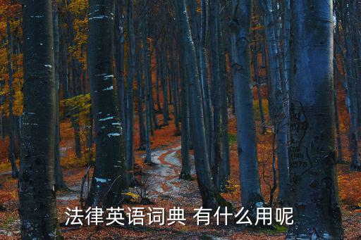 法律英語詞典 有什么用呢