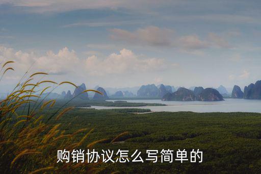 雙方自愿買賣協(xié)議書怎么寫，2人做買賣合同協(xié)議怎么寫