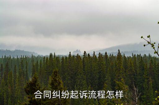 合同起訴流程 如何找證據，合同糾紛法院起訴怎么取證