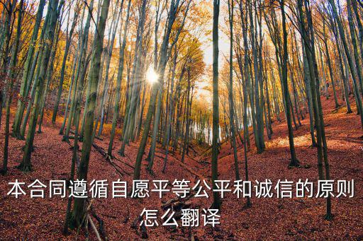 合同文本翻譯原則包括，本合同遵循自愿平等公平和誠信的原則怎么翻譯