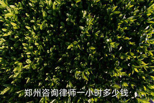 鄭州咨詢律師一小時(shí)多少錢