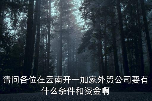 請(qǐng)問各位在云南開一加家外貿(mào)公司要有什么條件和資金啊