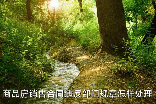 合同違反規(guī)章，合同違法怎么辦