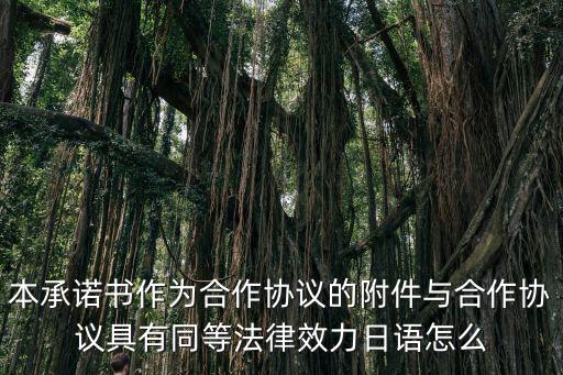 合作協(xié)議 日語，本承諾書作為合作協(xié)議的附件與合作協(xié)議具有同等法律效力日語怎么
