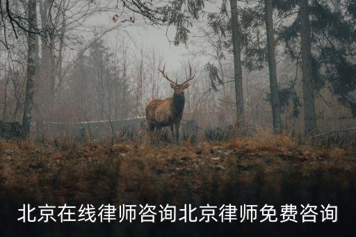 北京在線律師咨詢北京律師免費(fèi)咨詢