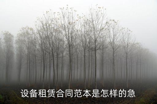 租賃機械設備合同，機械租賃合同