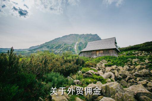 關(guān)于外貿(mào)傭金