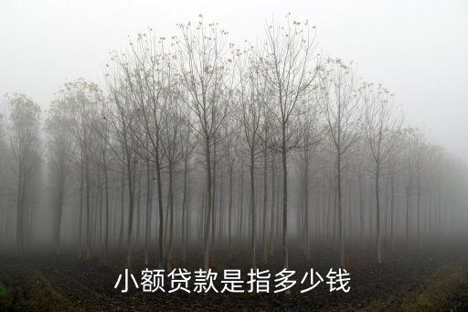小額貸款是指多少錢(qián)