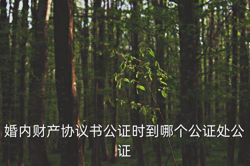 婚內(nèi)協(xié)議書(shū)去哪里公證，婚內(nèi)財(cái)產(chǎn)協(xié)議書(shū)公證時(shí)到哪個(gè)公證處公證