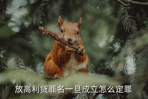 放高利貸罪名一旦成立怎么定罪