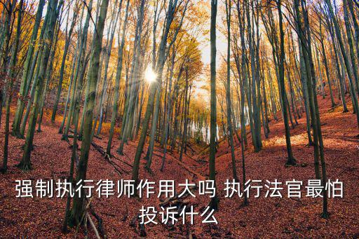 強制執(zhí)行請律師有用嗎，強制執(zhí)行律師作用大嗎 執(zhí)行法官最怕投訴什么